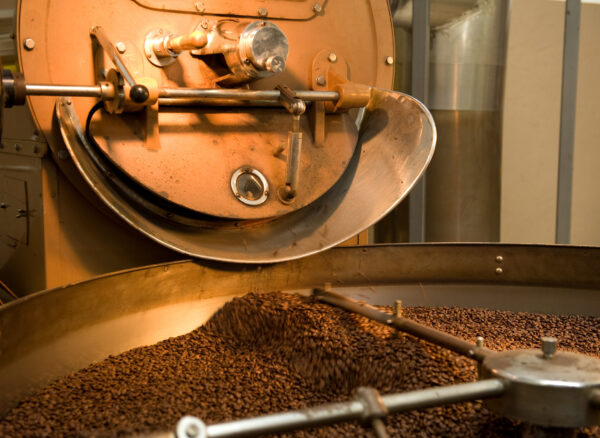 Close up view of a batch of fresh coffee beans being roasted in a coffee shop inside a big industrial copper roaster